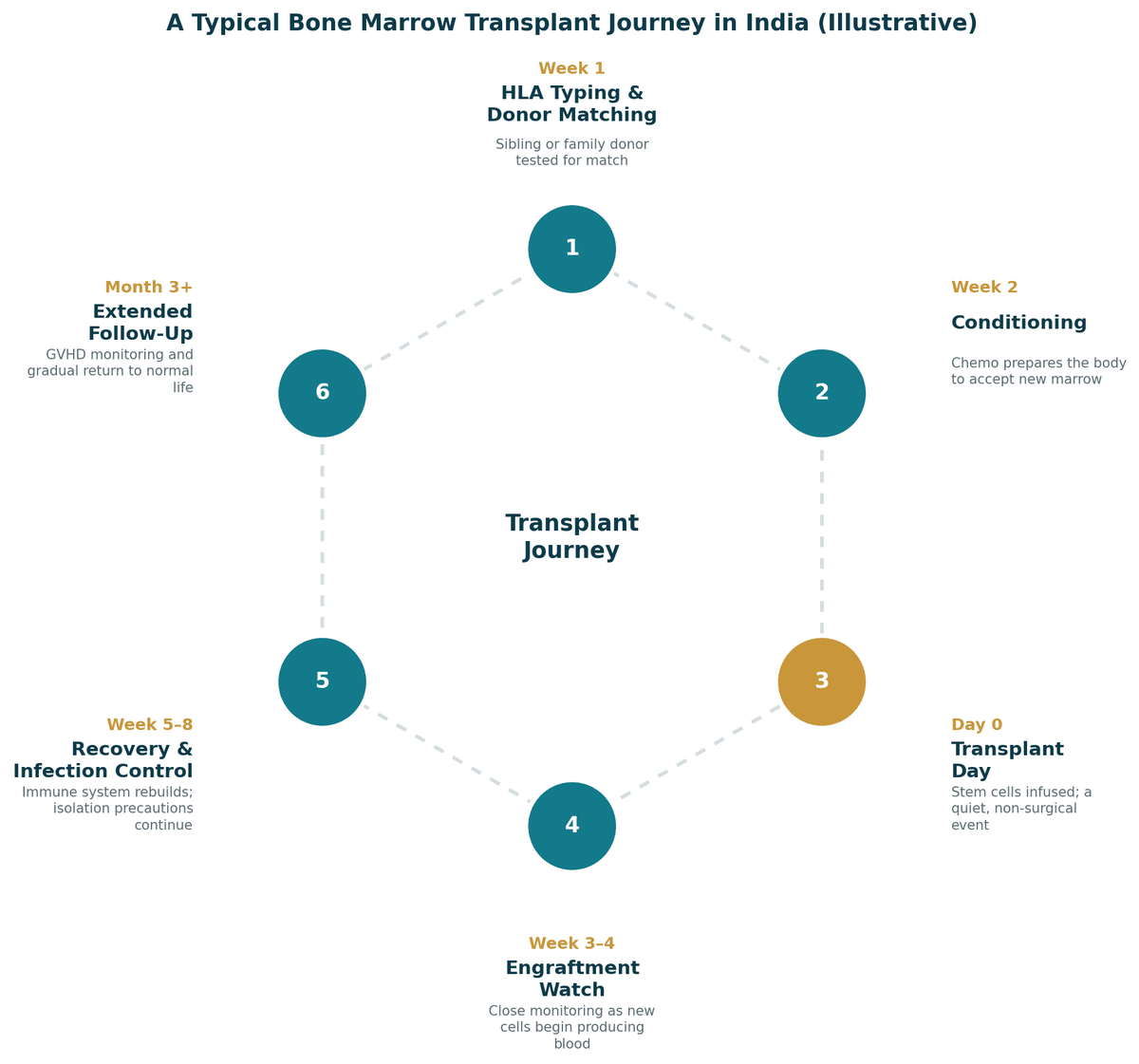 A typical bone marrow transplant journey in India, illustrative: week 1 HLA typing and donor matching; week 2 conditioning; day 0 transplant; weeks 3 to 4 engraftment watch; weeks 5 to 8 recovery and infection control; month 3 and beyond extended follow-up.