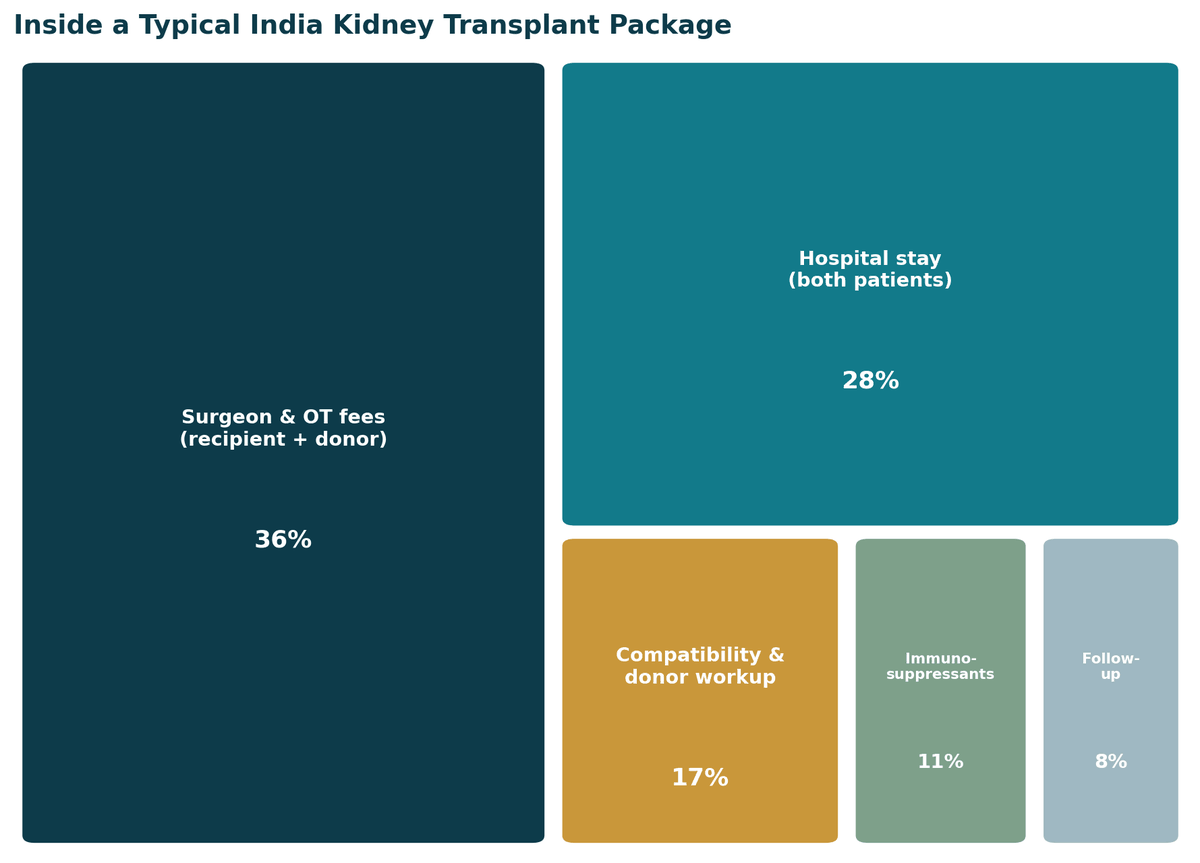 Inside a typical India kidney transplant package: surgeon and OT fees 36%, hospital stay for donor and recipient 28%, compatibility and donor work-up 17%, immunosuppressants 11%, follow-up 8%. Confirm exact inclusions with your hospital in writing.