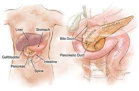 pancreatic surgery India