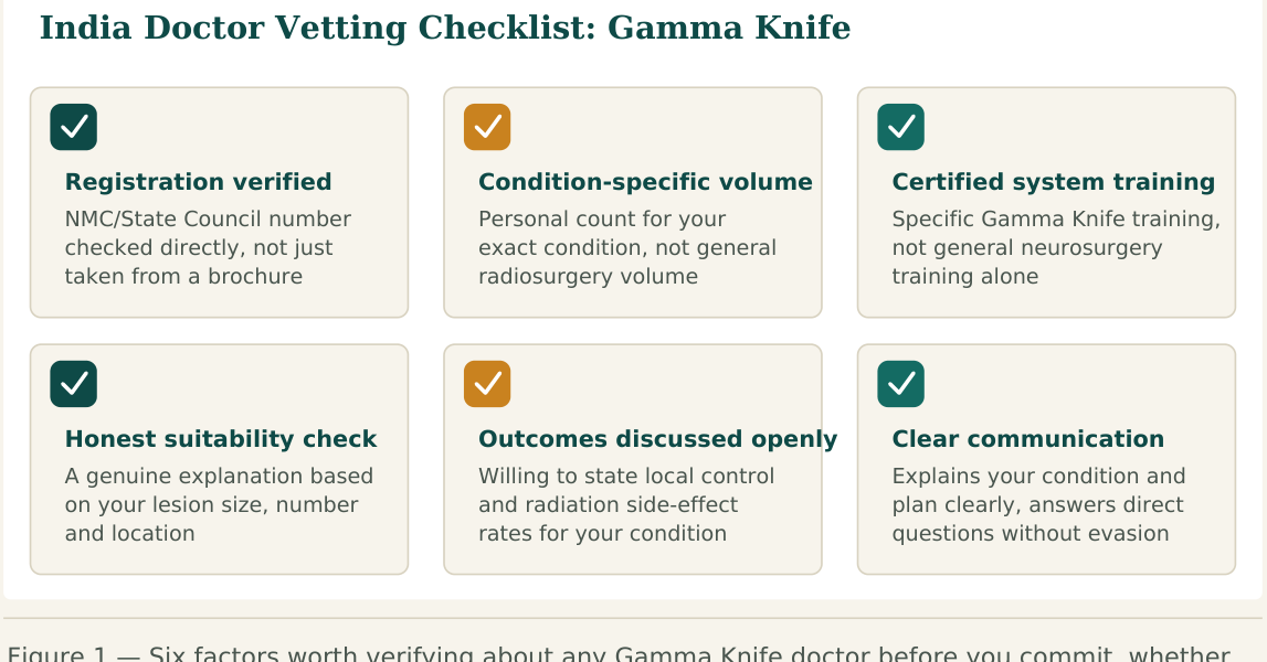 Figure 1 — Six factors worth verifying about any Gamma Knife doctor before you commit, whether you find them independently or through a facilitation service