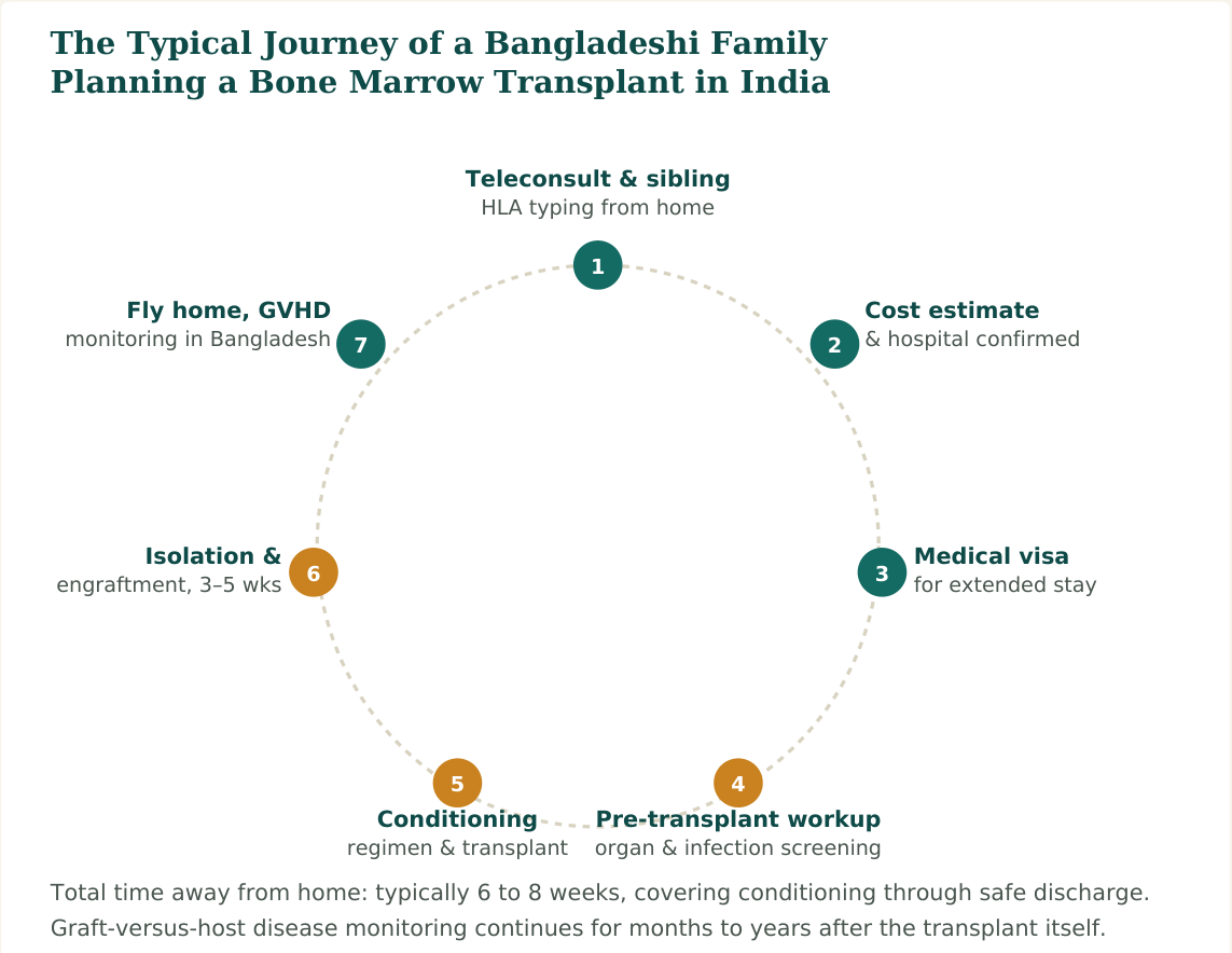 Figure 2 — A typical seven-stage journey arranged around the transplant admission itself