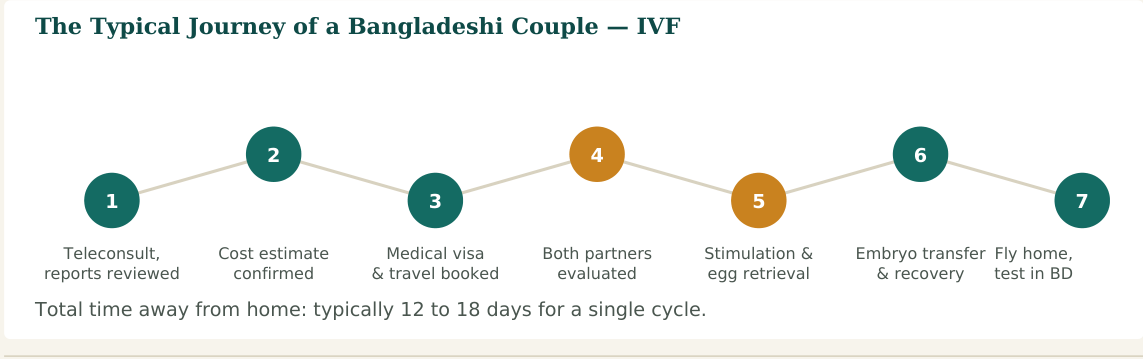 Figure 2 — A typical seven-stage journey for a single IVF cycle. Many couples need more than one cycle, meaning this process may repeat