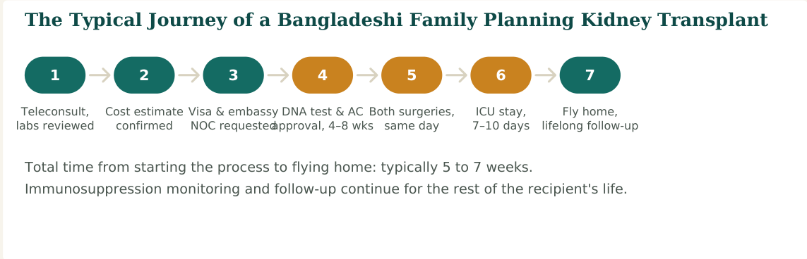 Figure 2 — A typical seven-stage journey. Step 4, DNA verification and Authorisation Committee approval, is often the single biggest source of delay and should be started as early as possible