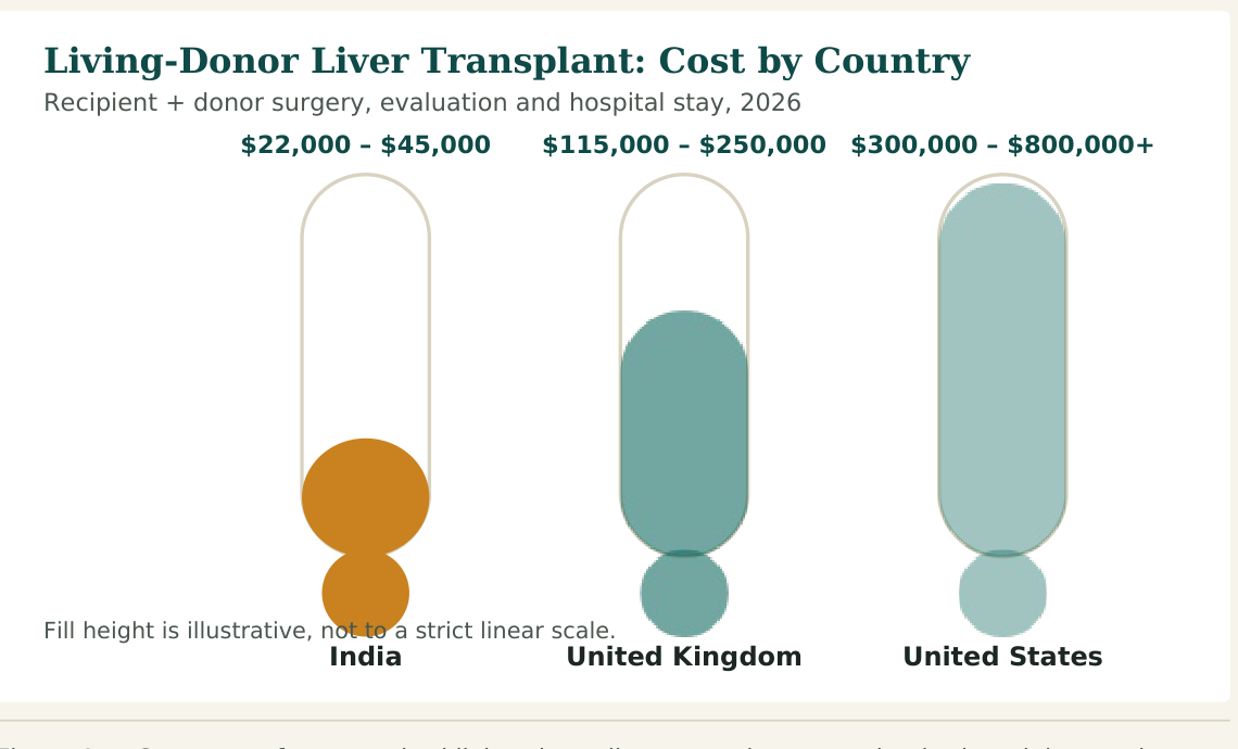 Figure 1 — Cost range for a standard living-donor liver transplant, covering both recipient and donor. Deceased-donor transplants, retransplantation and complex cases cost more in every country listed