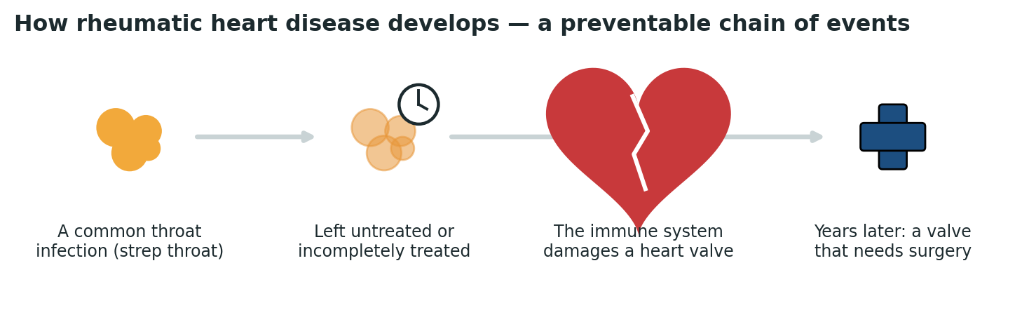 Chart: A common, treatable infection in childhood can become a serious valve condition in adulthood, entirely preventably