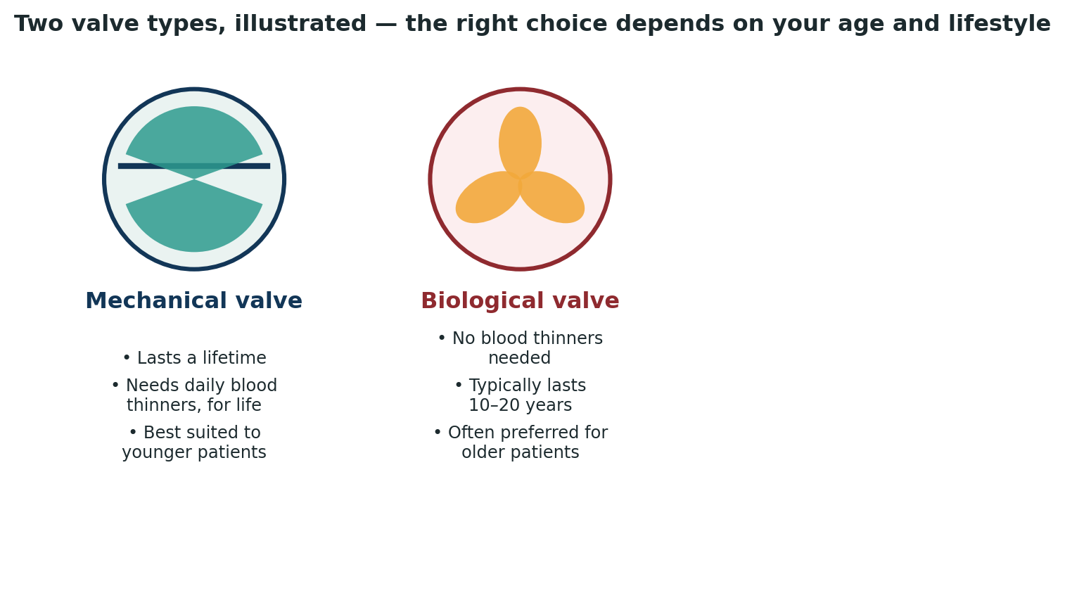 Chart: Neither valve type is universally better — the right choice depends on your age, lifestyle, and ability to manage lifelong medication reliably