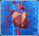 Cardiac icon