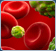 Leukemia icon