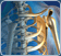 Orthopedic icon