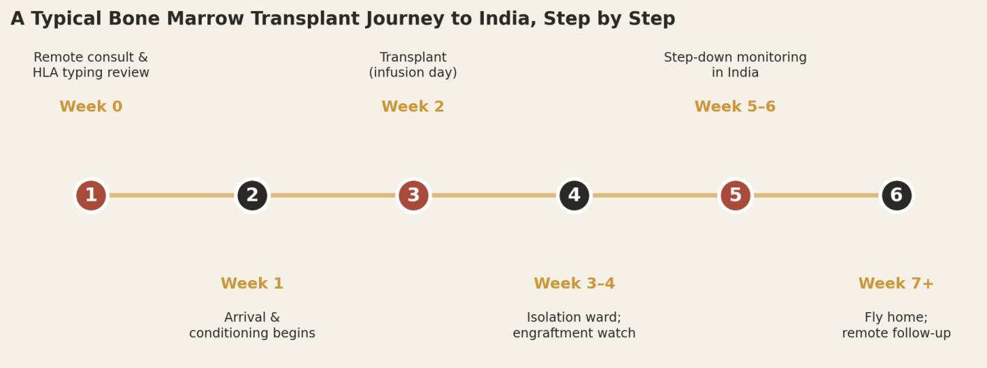 A typical bone marrow transplant journey to India, step by step: Week 0 remote consult and HLA typing review; Week 1 arrival and conditioning begins; Week 2 transplant (infusion day); Weeks 3 to 4 isolation ward and engraftment watch; Weeks 5 to 6 step-down monitoring in India; Week 7+ fly home and remote follow-up.