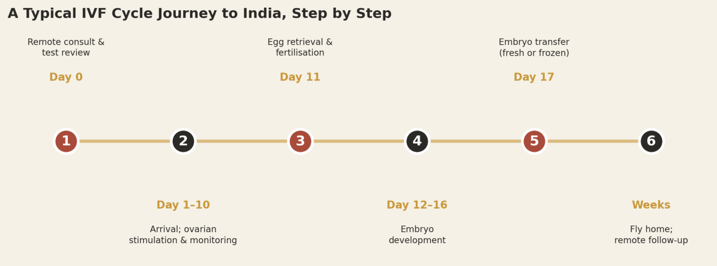 A typical IVF cycle takes roughly two and a half to three weeks from stimulation start to embryo transfer.