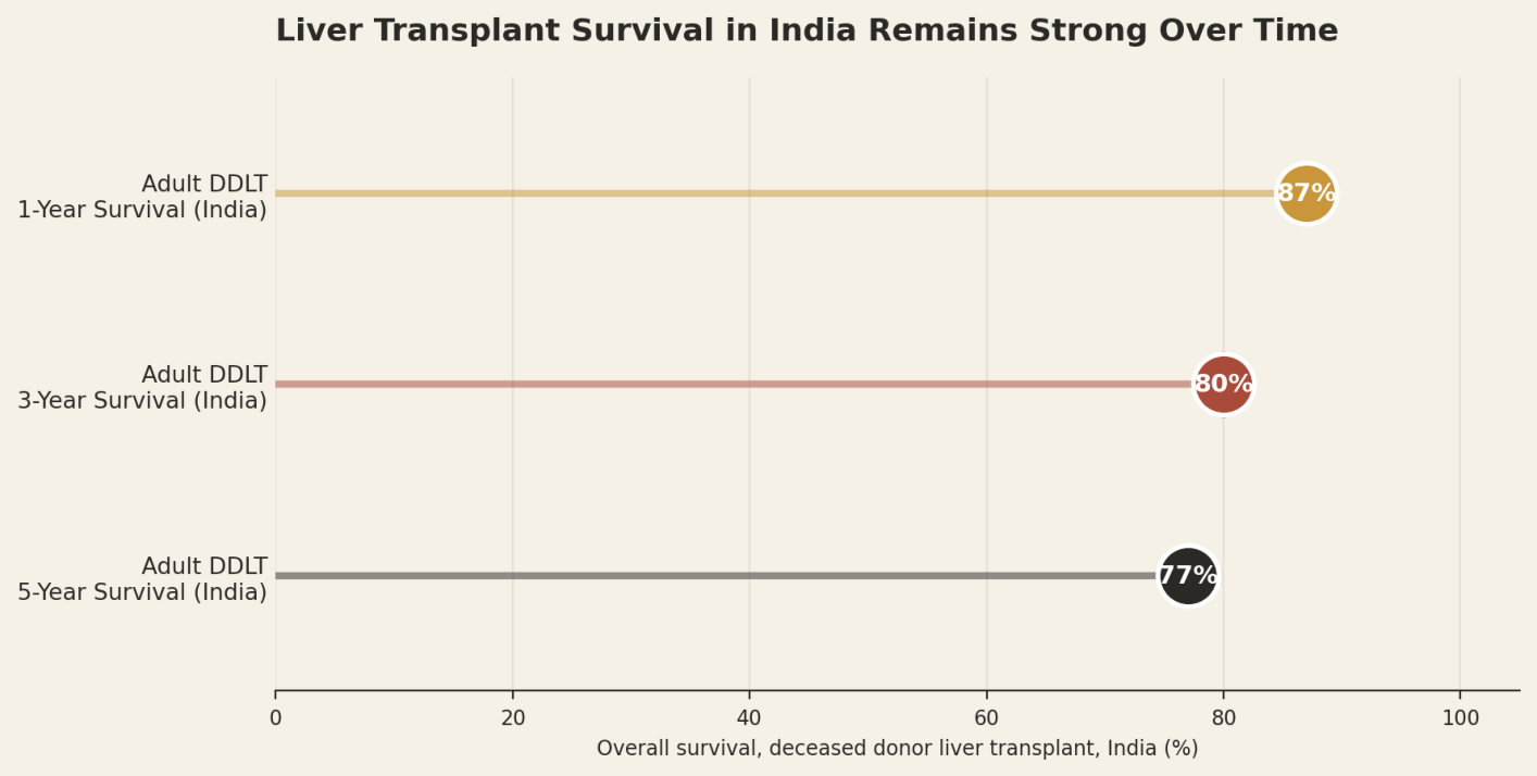 Liver transplant survival in India remains strong over time. Adult DDLT 1-year survival (India) 87%, adult DDLT 3-year survival (India) 80%, adult DDLT 5-year survival (India) 77%.