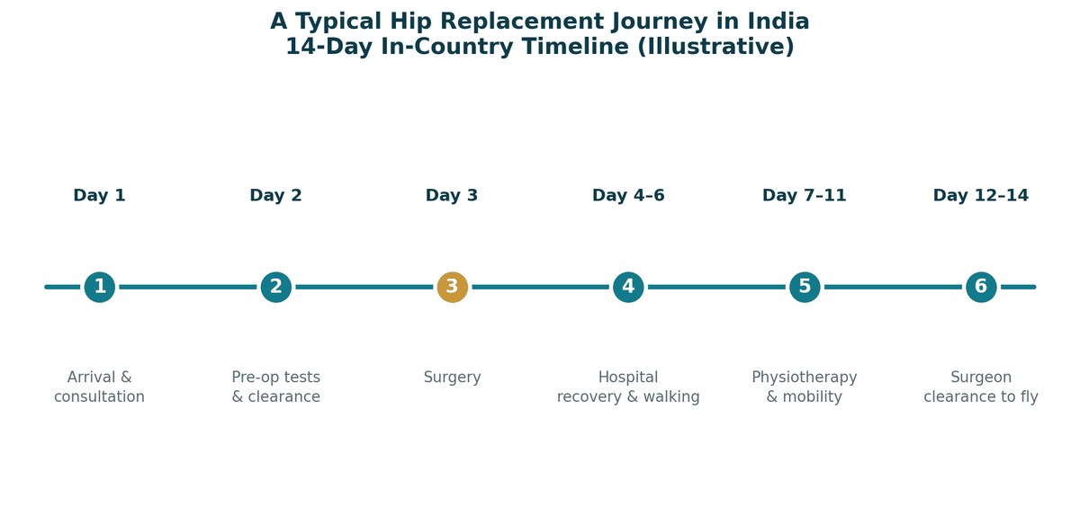 A typical hip surgery journey in India, illustrative 14-day pathway: arrival and consultation; pre-operative tests; surgery; hospital recovery; physiotherapy; surgeon clearance to fly.