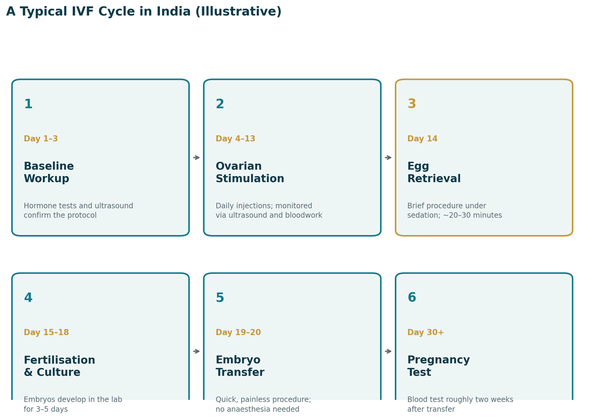 A typical IVF cycle journey in India, illustrative: days 1 to 3 baseline work-up; days 4 to 13 ovarian stimulation; day 14 egg retrieval; days 15 to 18 fertilisation and embryo culture; days 19 to 20 embryo transfer; from day 30 pregnancy test.