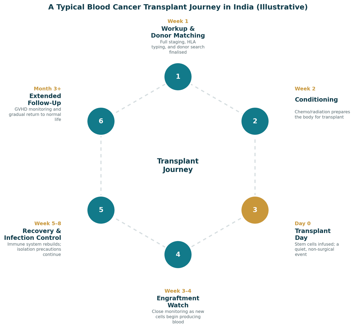A typical blood cancer transplant journey in India, illustrative: week 1 work-up and donor matching; week 2 conditioning; day 0 transplant infusion; weeks 3 to 4 engraftment monitoring; weeks 5 to 8 recovery and infection control; from month 3 extended follow-up.