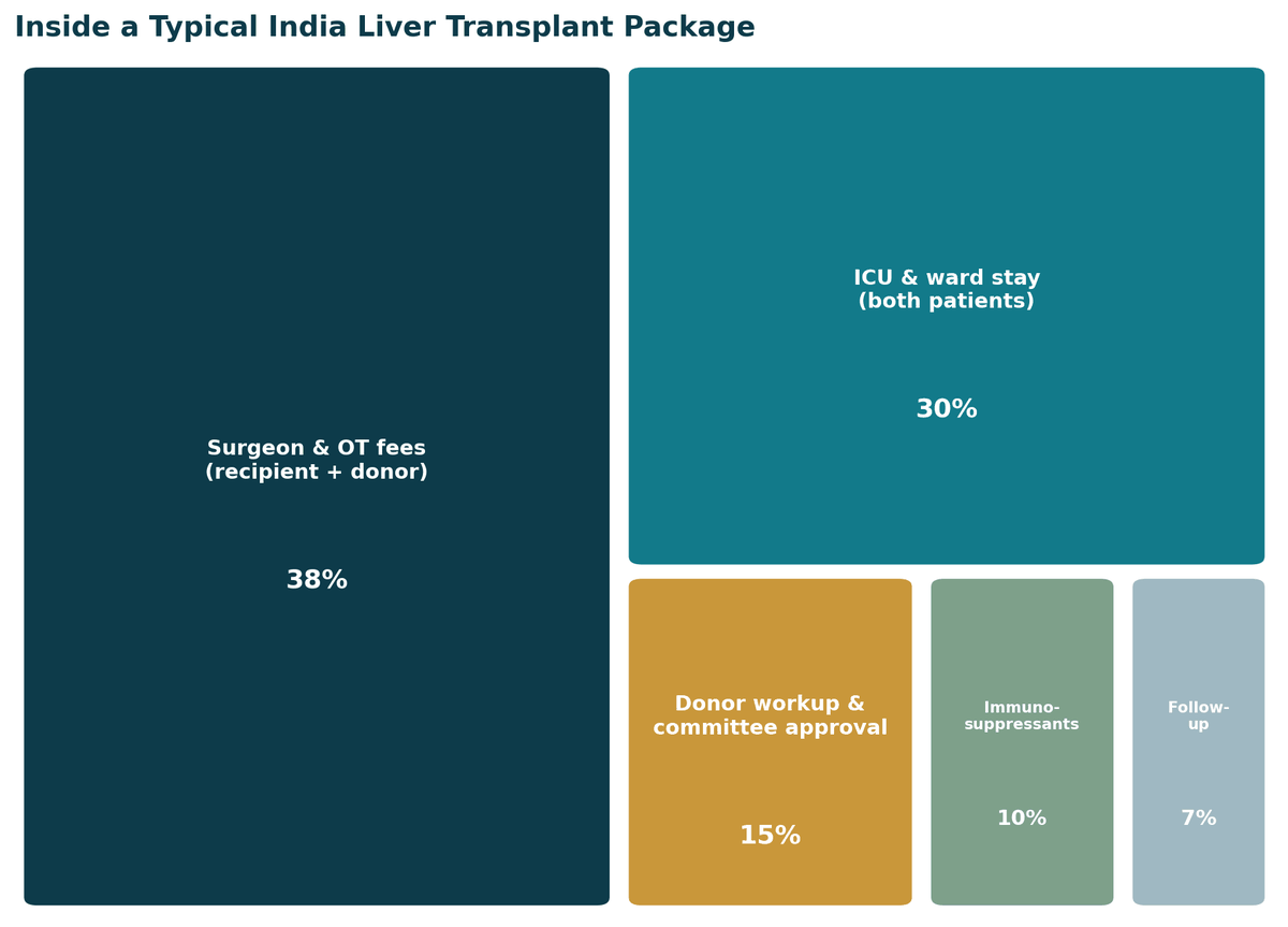 Inside a typical India liver transplant package: surgeon and OT fees for recipient and donor 38%, ICU and ward stay for both patients 30%, donor work-up and committee approval 15%, immunosuppressants 10%, follow-up 7%. Confirm exact inclusions with your hospital in writing.