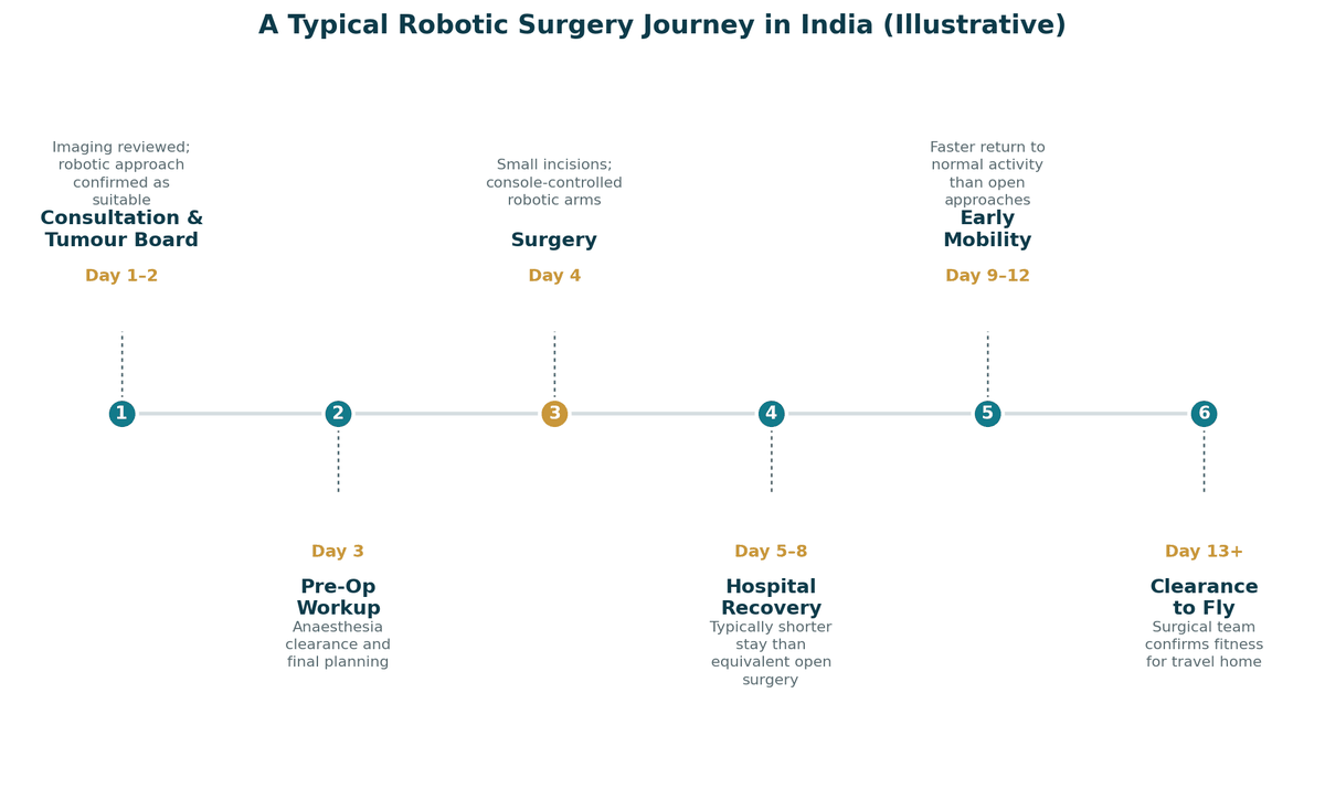 A typical robotic cancer surgery journey in India, illustrative: days 1 to 2 consultation and tumour-board review; day 3 pre-operative work-up; day 4 robotic surgery; days 5 to 8 hospital recovery; days 9 to 12 early mobility; from around day 13 clearance to fly.