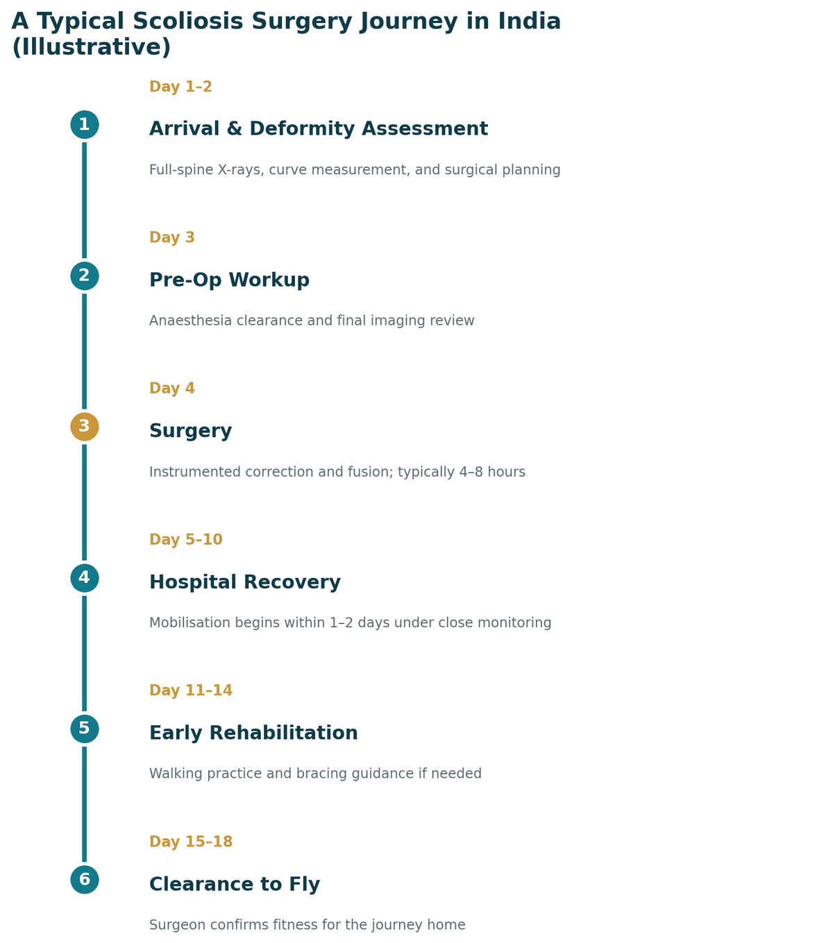 A typical scoliosis correction journey in India, illustrative: days 1 to 2 full-spine X-rays and deformity assessment; day 3 pre-operative work-up; day 4 instrumented correction and fusion; days 5 to 10 hospital recovery; days 11 to 14 early rehabilitation; days 15 to 18 clearance to fly.