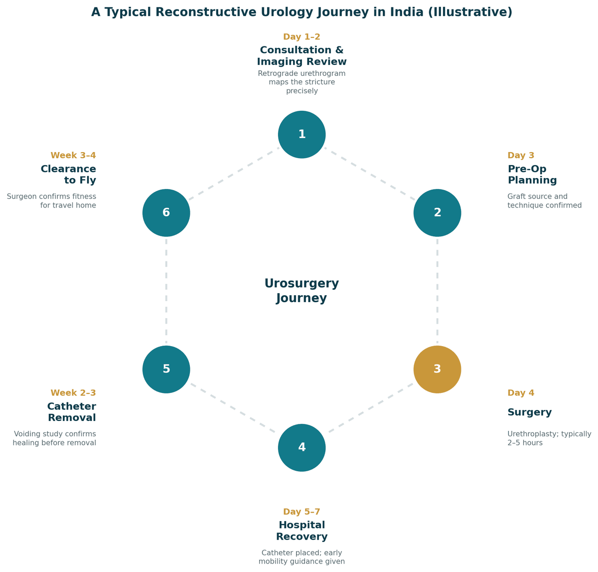 A typical urosurgery journey in India, illustrative: days 1 to 2 consultation and imaging review including retrograde urethrogram; day 3 graft-source and technique planning; day 4 urethroplasty; days 5 to 7 hospital recovery; weeks 2 to 3 catheter removal after a healing assessment; weeks 3 to 4 clearance to fly.