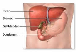 Gallbladder Surgery India